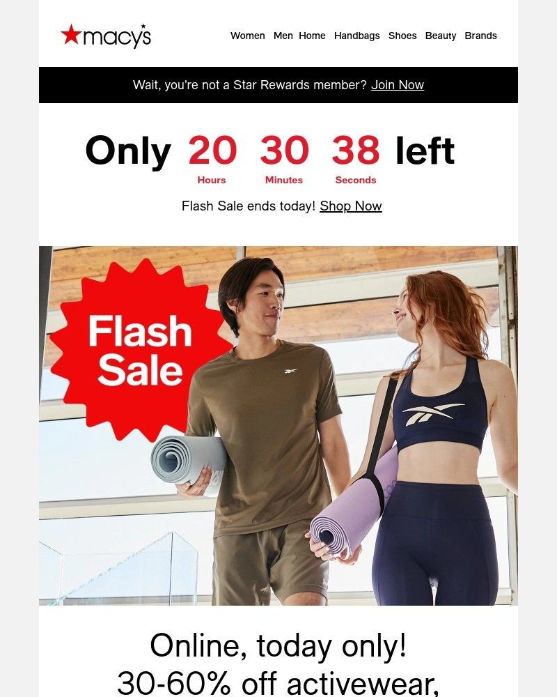 Screenshot of email with subject /media/emails/active-flash-sale-30-60-off-ends-tonight-0eec08-cropped-77794da3.jpg