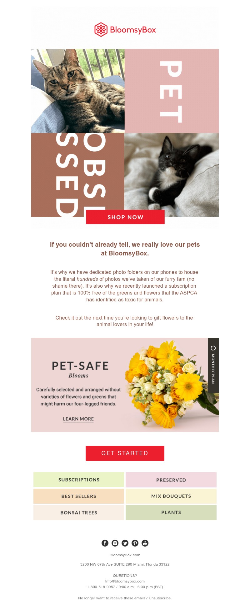 Screenshot of email with subject /media/emails/ad7428ab-d47e-4490-8f2c-ec3bff7cc73d.jpg