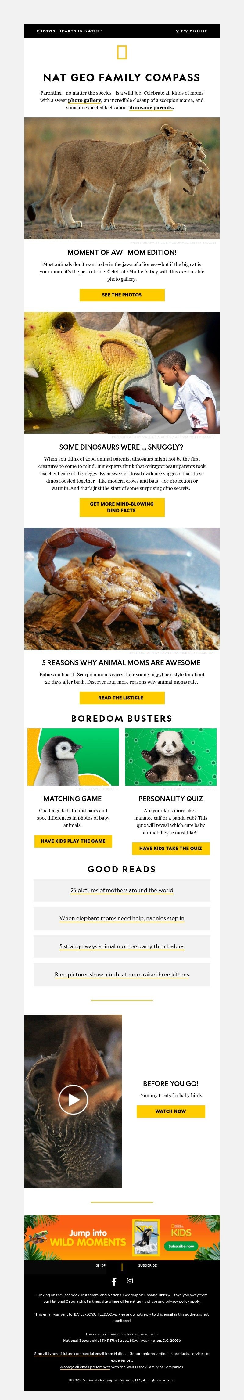 Screenshot of email with subject /media/emails/ada77567-4013-4707-a1bc-c8de643a8114.jpg