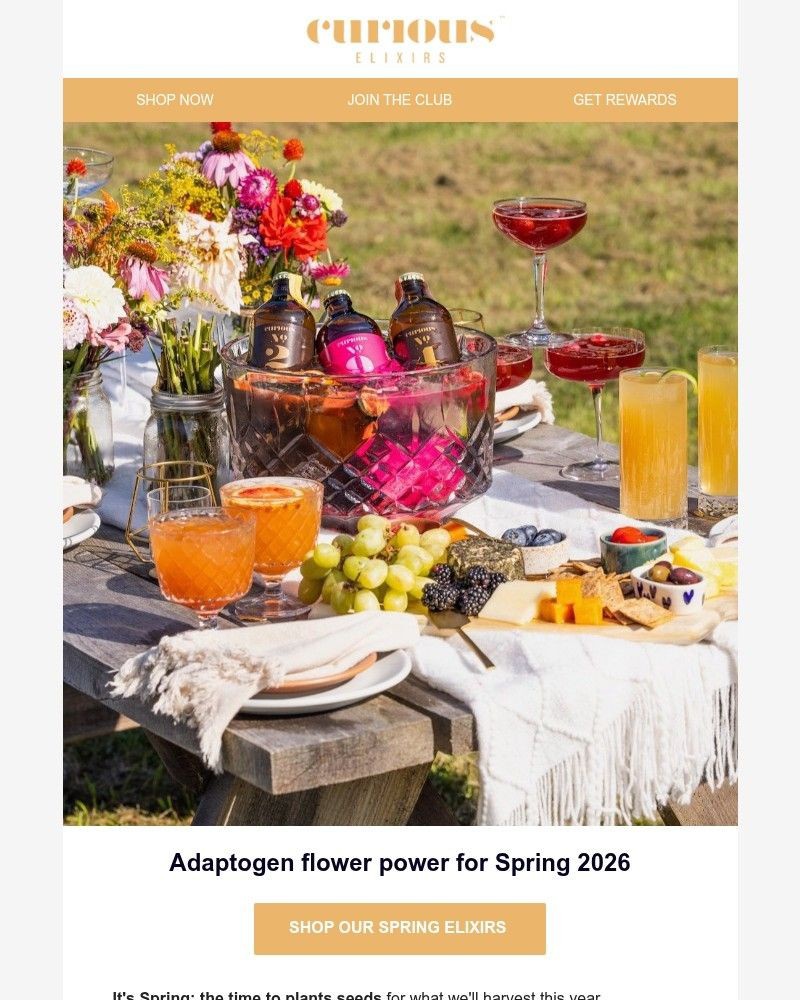 Screenshot of email sent to a Curious Elixirs Newsletter subscriber