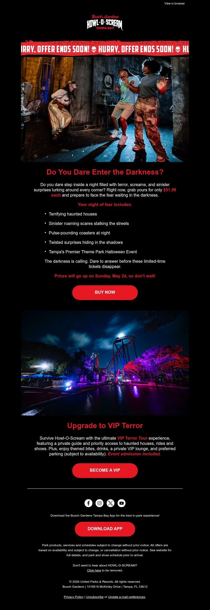 Screenshot of email with subject /media/emails/adb93266-578b-4435-b028-6739165a87a2.jpg
