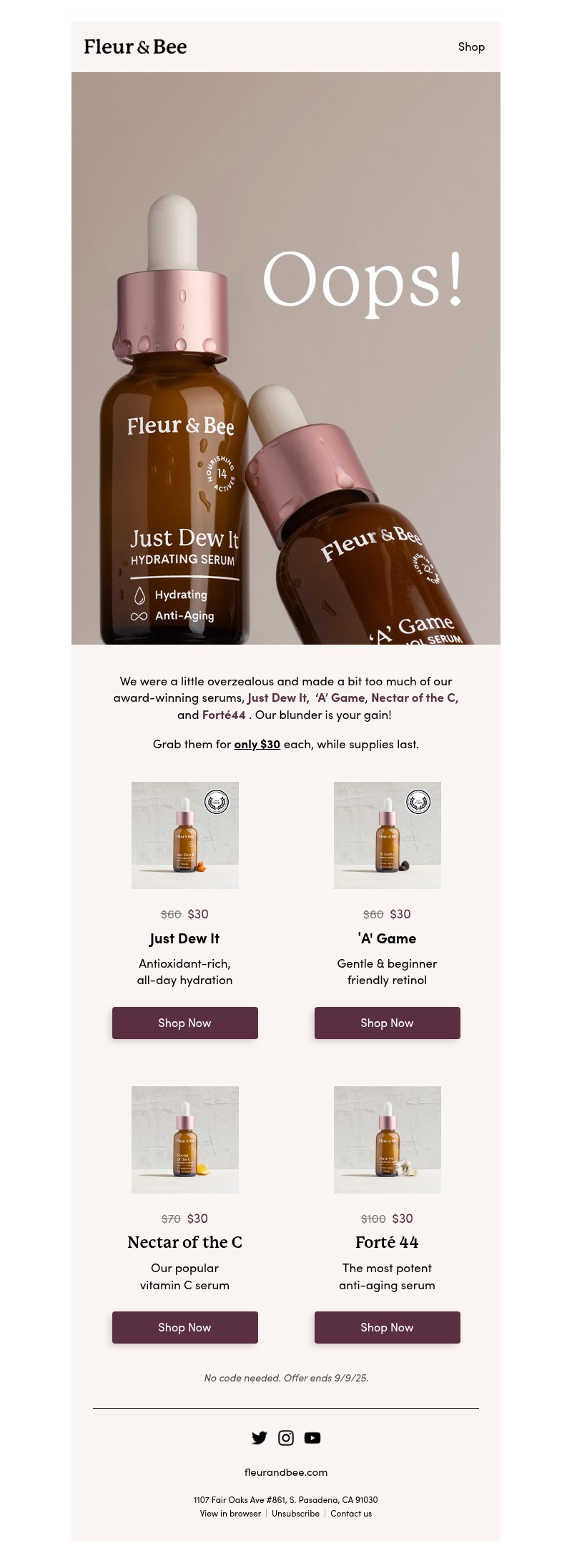 Screenshot of email with subject /media/emails/adedb5ed-d713-4717-801b-65a710146918.jpg