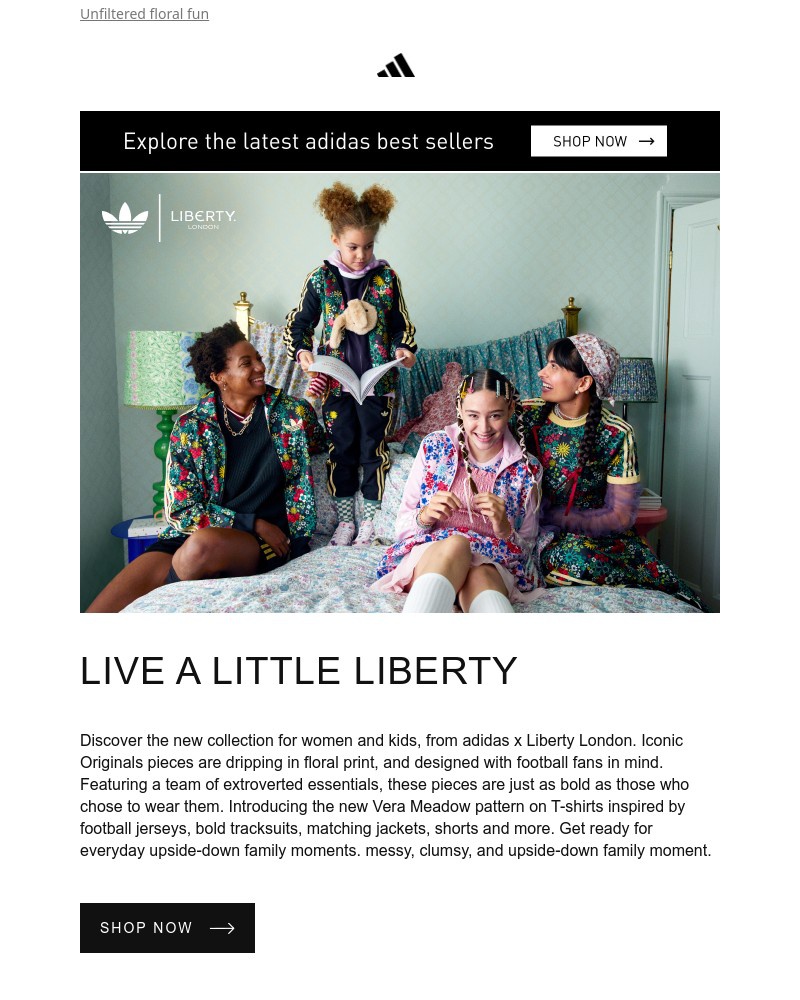 Screenshot of email sent to a Adidas Newsletter subscriber