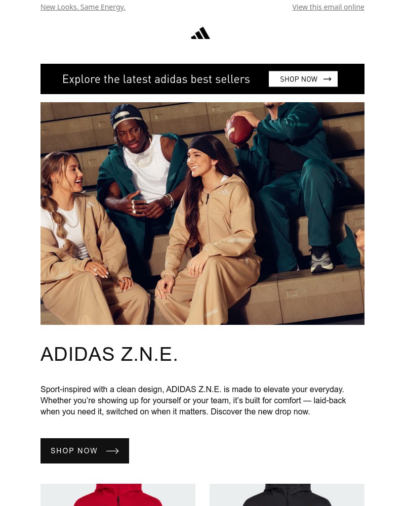Screenshot of email with subject /media/emails/adidas-zne-f27af7-cropped-7fa15a27.jpg