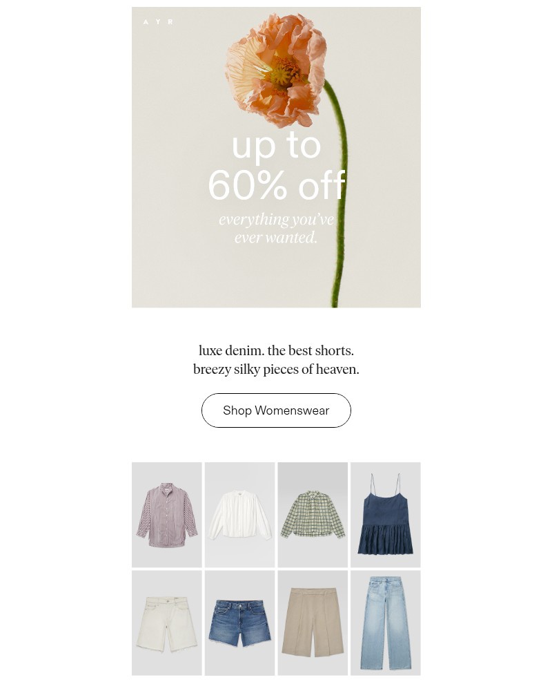Screenshot of email with subject /media/emails/adios-up-to-60-off-66d549-cropped-57551379.jpg