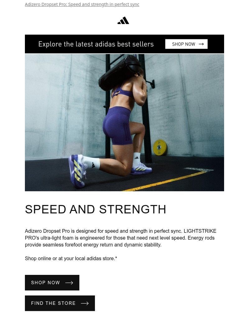 Screenshot of email sent to a Adidas Newsletter subscriber
