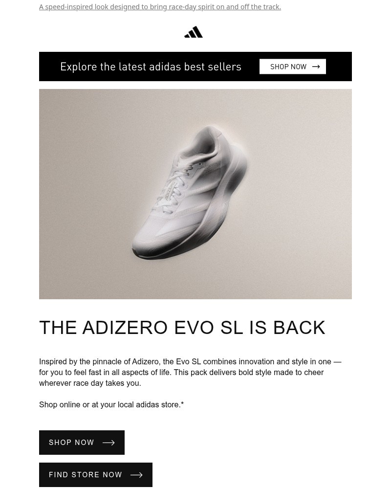 Screenshot of email sent to a Adidas Newsletter subscriber