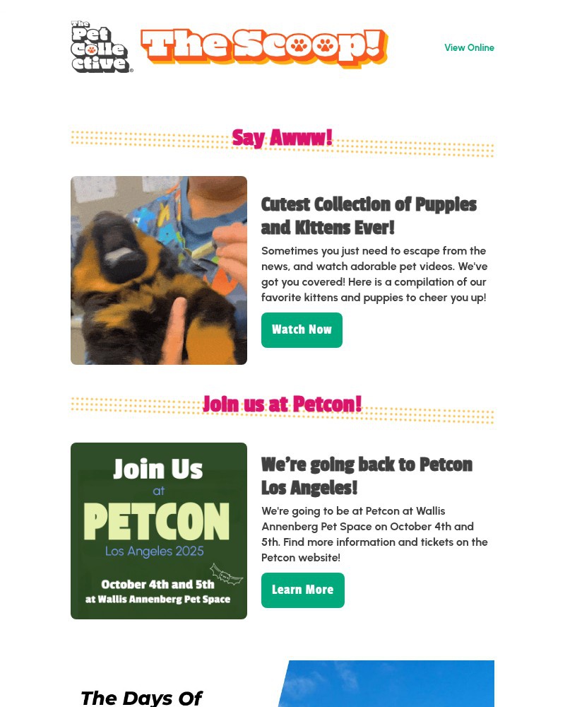 Screenshot of email with subject /media/emails/adorable-kitten-and-puppy-videos-to-cheer-you-up-a9d039-cropped-e1d577ca.jpg