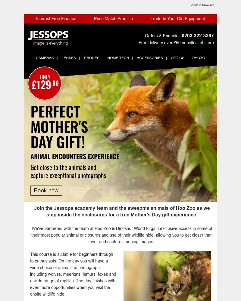 Screenshot of email with subject /media/emails/adorable-mothers-day-gift-up-close-with-cute-creatures-50712d-cropped-dd6c061d.jpg