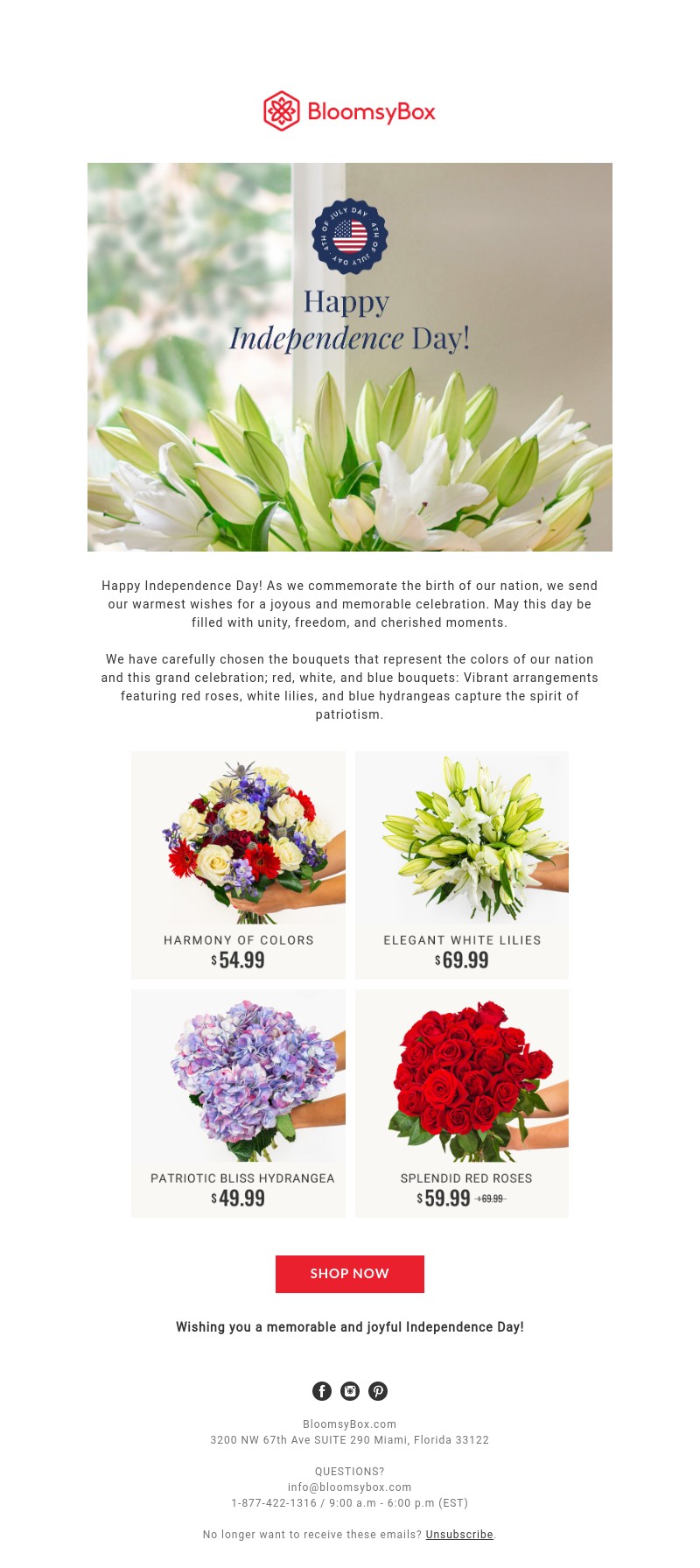 Screenshot of email with subject /media/emails/ae13964a-26c7-4cd8-8b80-6e48344bdc3d.jpg