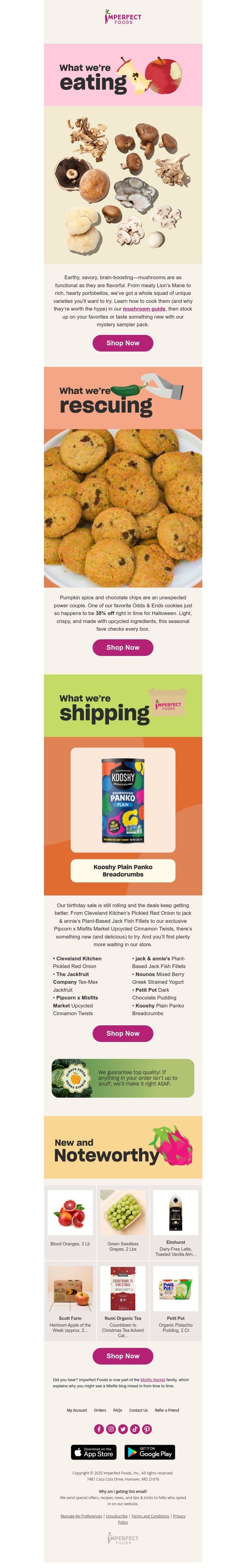 Screenshot of email with subject /media/emails/ae21083c-ccf1-4590-9a04-a12c140778fb.jpg