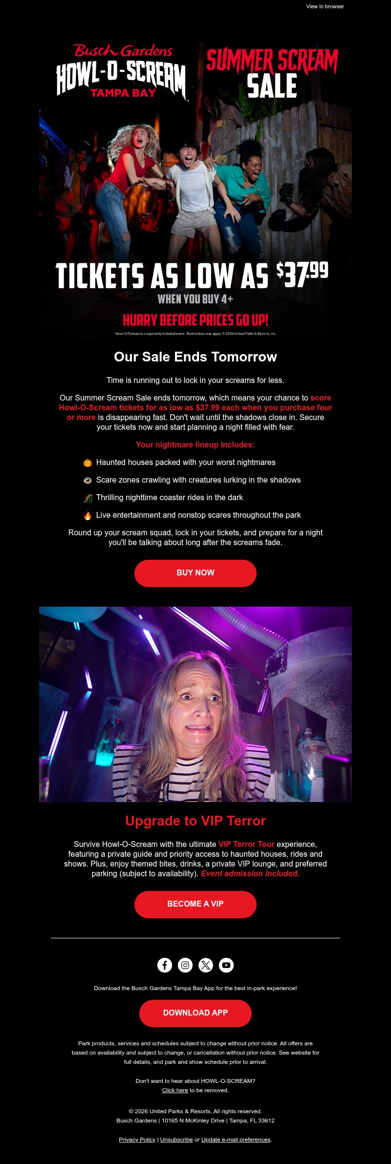 Screenshot of email with subject /media/emails/aea741d7-9ce6-4419-bc77-e7a882c8109d.jpg