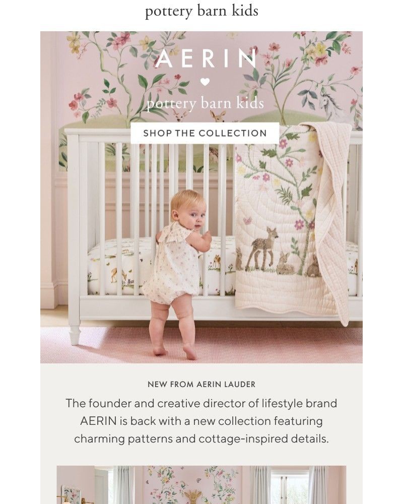 Screenshot of email with subject /media/emails/aerins-lovely-new-collection-is-here-e6ec52-cropped-360813e0.jpg