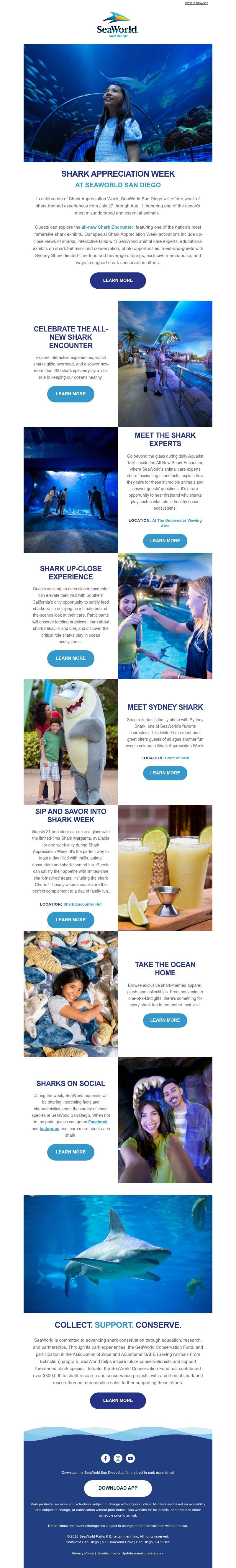 Screenshot of email with subject /media/emails/affee779-2c27-46fa-88b3-29a0cc7c090c.jpg