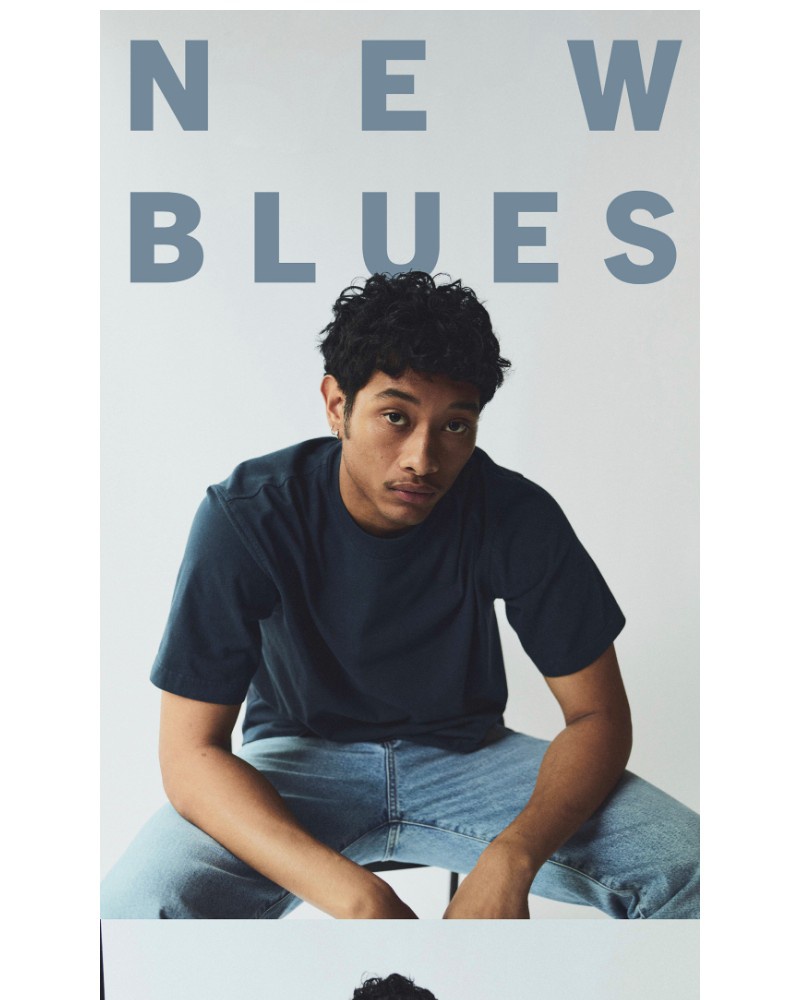 Screenshot of email with subject /media/emails/agolde-mens-new-blues-3ee51a-cropped-aeadefc8.jpg