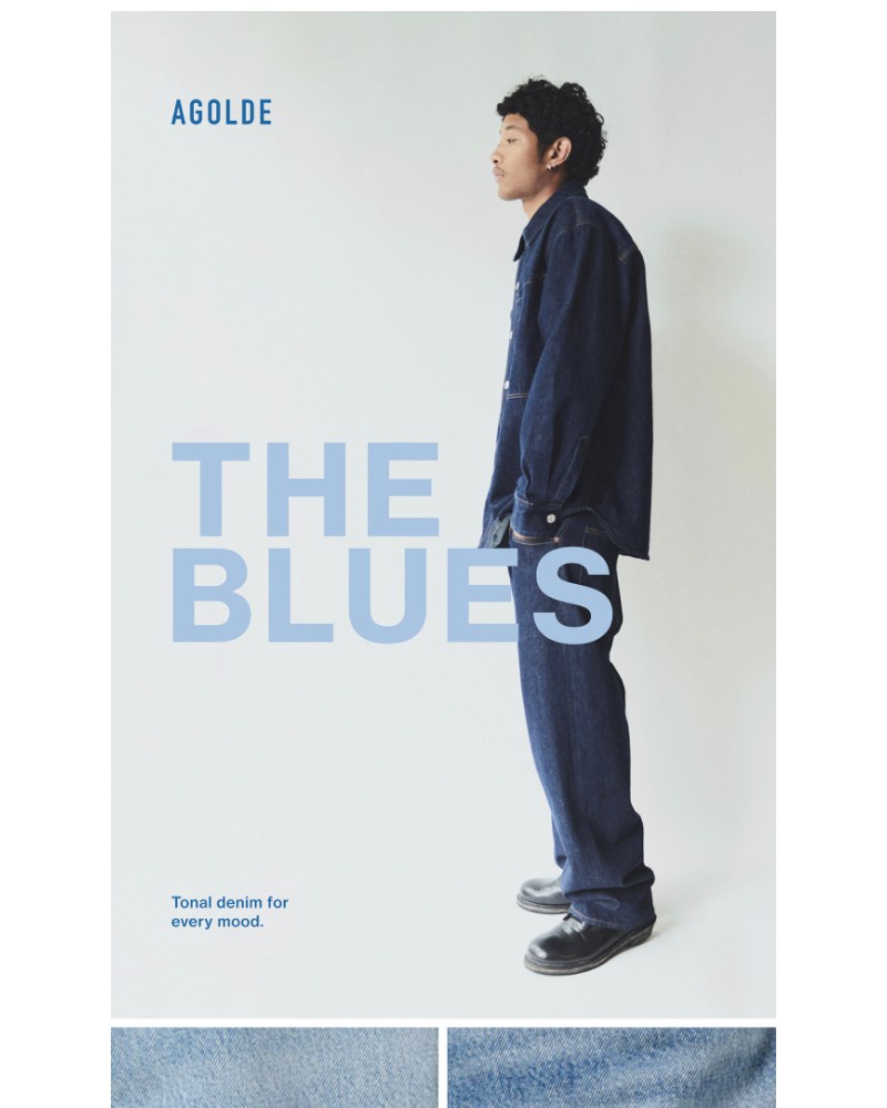 Screenshot of email with subject /media/emails/agolde-mens-the-blues-e932ab-cropped-497cc30d.jpg