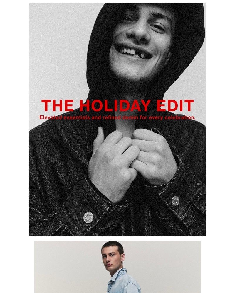 Screenshot of email with subject /media/emails/agolde-mens-the-holiday-edit-0799a7-cropped-c902b1c0.jpg