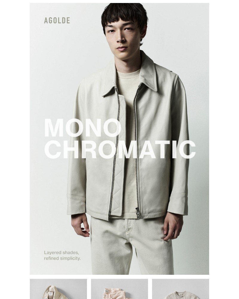 Screenshot of email with subject /media/emails/agolde-mens-the-tonal-edit-ba36a5-cropped-577c7c84.jpg