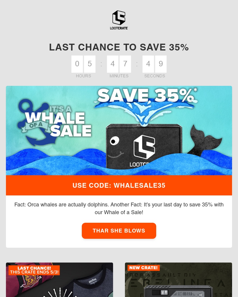 Screenshot of email with subject /media/emails/ahoy-last-day-to-save-35-in-our-whale-of-a-sale-cropped-99b2c470.jpg