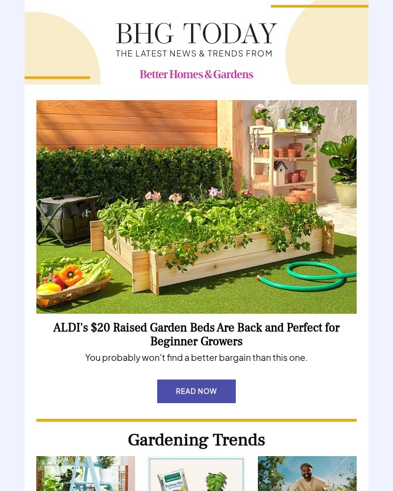Screenshot of email with subject /media/emails/aldis-20-raised-garden-beds-are-back-and-perfect-for-beginner-growers-645086-crop_r9cq6DK.jpg