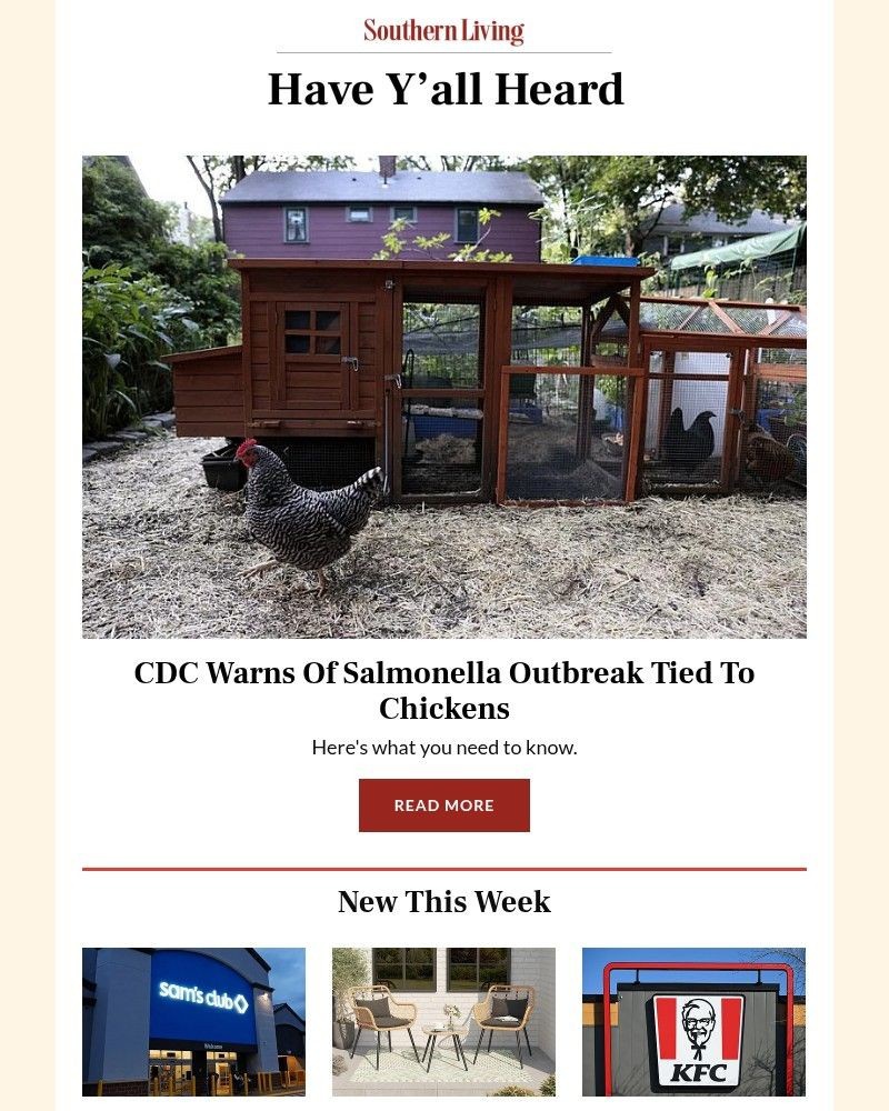 Screenshot of email with subject /media/emails/alert-cdc-warns-of-salmonella-outbreak-tied-to-chickens-be6bfe-cropped-6fbba8a3.jpg