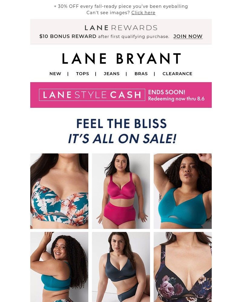 Screenshot of email with subject /media/emails/all-bliss-on-sale-30-bras-535-panties-a8ad79-cropped-876e46fe.jpg