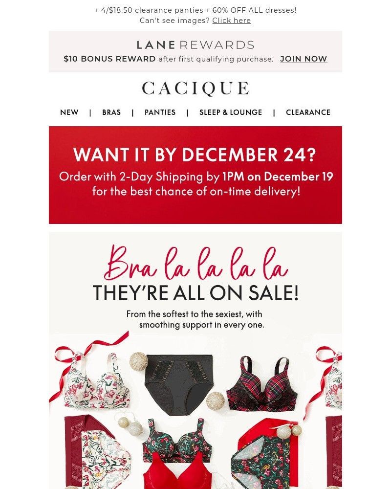Screenshot of email with subject /media/emails/all-bras-25-up-shop-our-semi-annual-sale-n-o-w-c133a6-cropped-0d8efadf.jpg