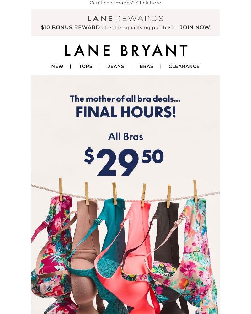 Screenshot of email with subject /media/emails/all-bras-2950-final-hours-3b3d9f-cropped-3d2e8d7e.jpg