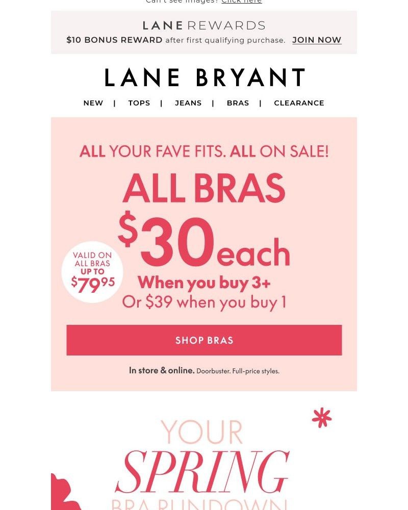 Screenshot of email with subject /media/emails/all-bras-30-when-you-buy-3-b53020-cropped-9bbad268.jpg