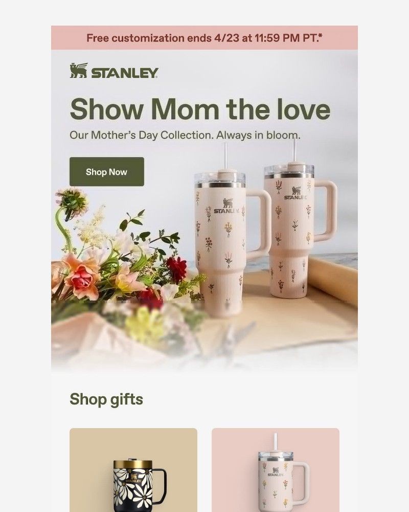 Screenshot of email with subject /media/emails/all-for-mom-8b6bec-cropped-87fcfe7a.jpg