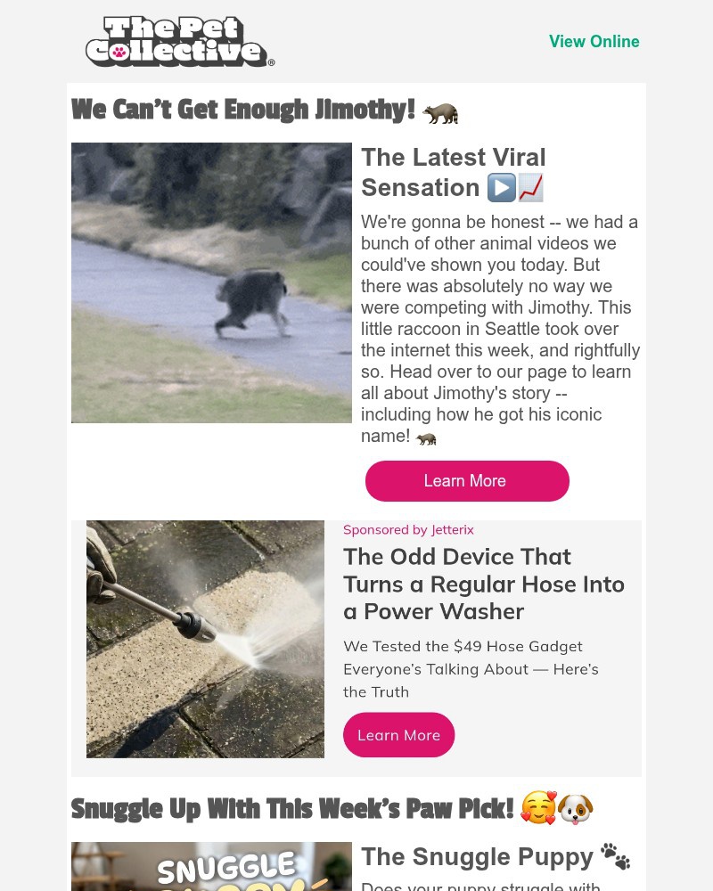 Screenshot of email with subject /media/emails/all-hail-jimothy-king-of-raccoons-b5c888-cropped-1a8061d9.jpg