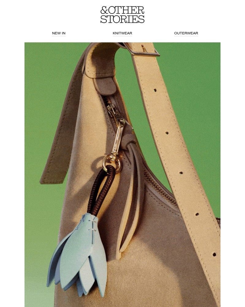 Screenshot of email with subject /media/emails/all-in-the-bag-3ba064-cropped-b3899eed.jpg