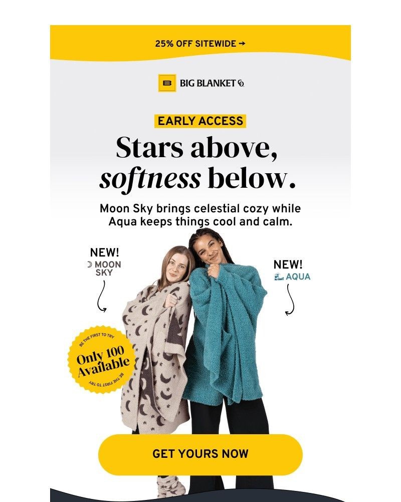 Screenshot of email sent to a Big Blanket Co. Newsletter subscriber
