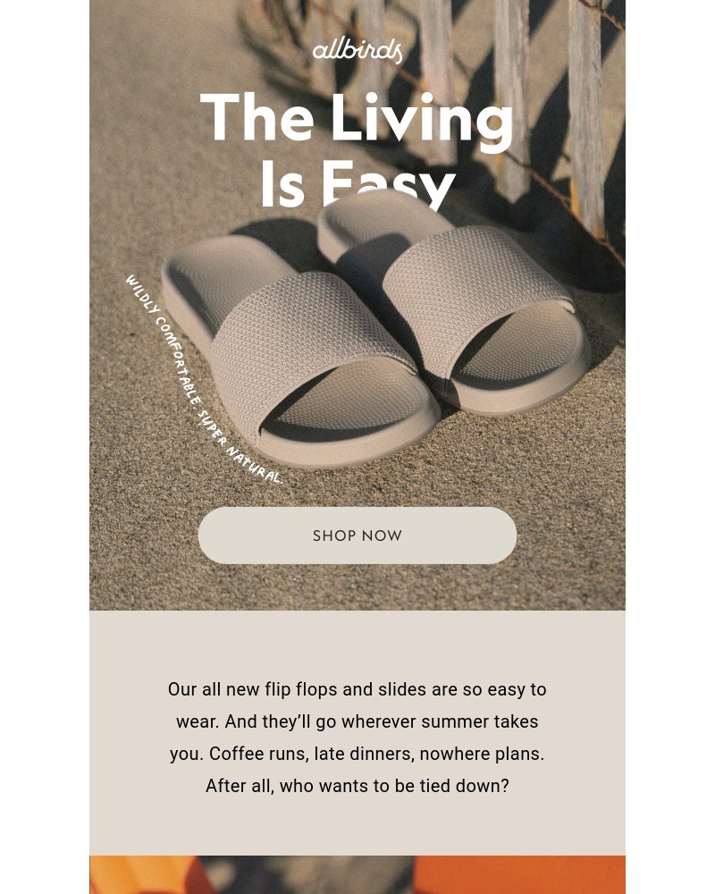 Screenshot of email with subject /media/emails/all-new-flip-flops-slides-51fcee-cropped-67e35df4.jpg