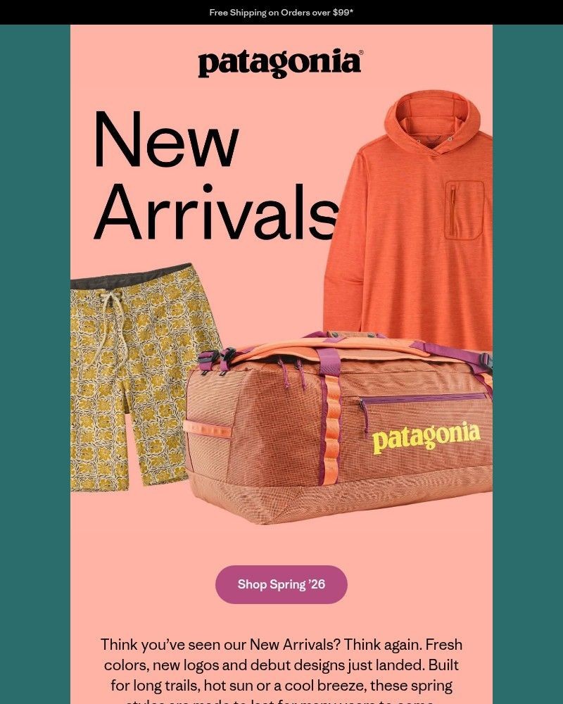 Screenshot of email sent to a Patagonia Newsletter subscriber