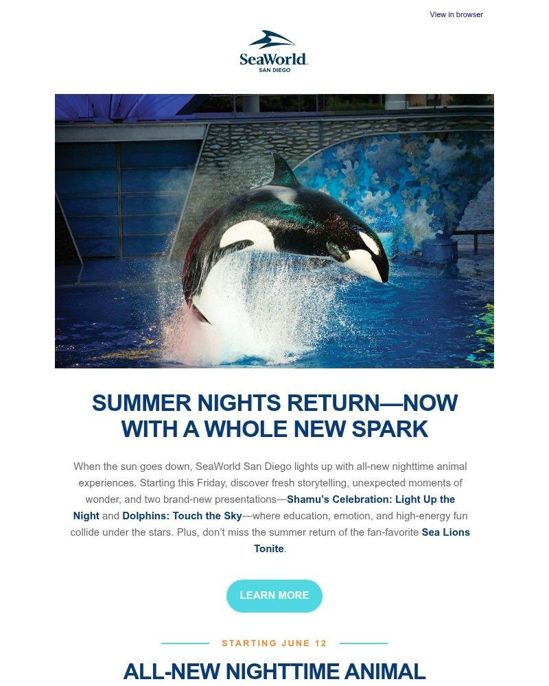Screenshot of email with subject /media/emails/all-new-nighttime-animal-experiences-start-friday-7ad3b8-cropped-74a67cbe.jpg
