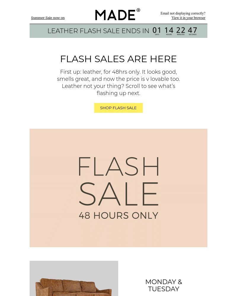 Screenshot of email with subject /media/emails/all-of-our-flash-sale-dates-grab-your-diary-cropped-2503669a.jpg