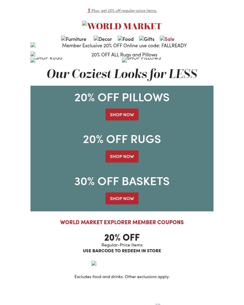 Screenshot of email with subject /media/emails/all-pillows-and-rugs-are-on-sale-0dc840-cropped-0c635fbd.jpg