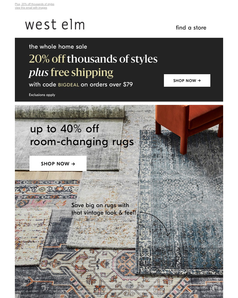 Screenshot of email with subject /media/emails/all-rugs-on-sale-cropped-ca3131c1.jpg