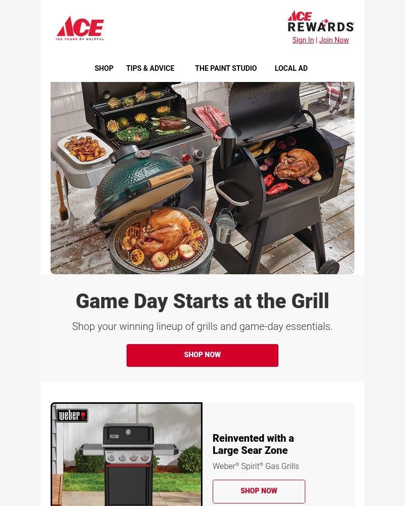 Screenshot of email sent to a Ace Hardware Newsletter subscriber