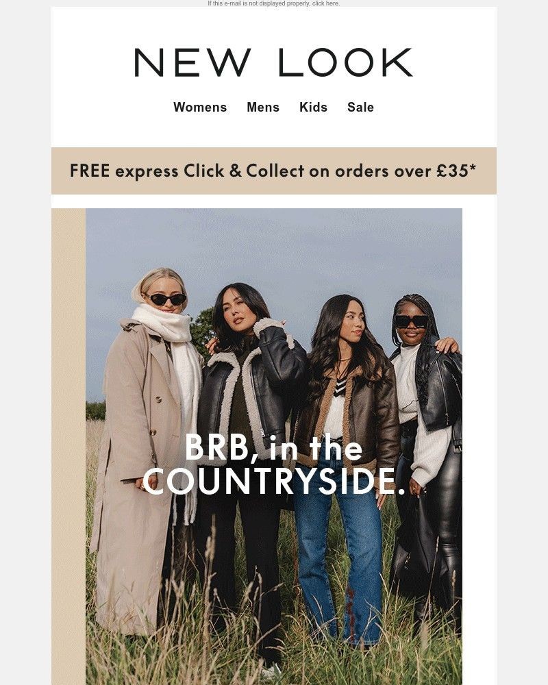 Screenshot of email with subject /media/emails/all-the-autumn-inspo-youll-ever-need-bf65d5-cropped-7e933930.jpg