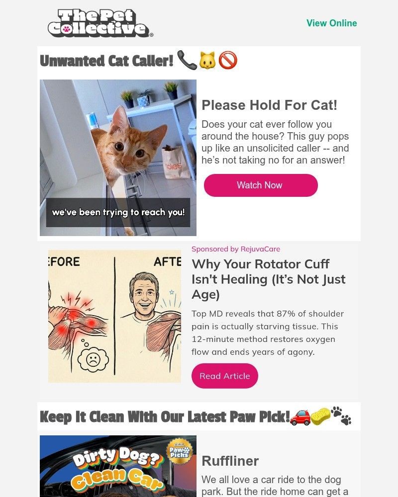 Screenshot of email with subject /media/emails/all-the-best-pet-fails-in-one-video-7a1e18-cropped-0b4abec0.jpg