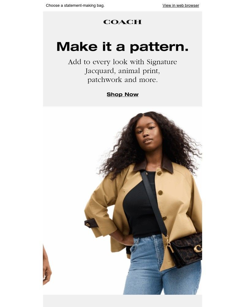 Screenshot of email with subject /media/emails/all-the-patterns-and-possibilities-d585f9-cropped-343829af.jpg