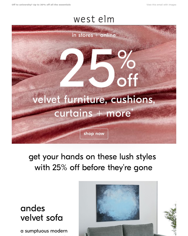 Screenshot of email with subject /media/emails/all-the-velvet-you-could-want-with-25-off-youre-welcome-cropped-f519cd4c.jpg