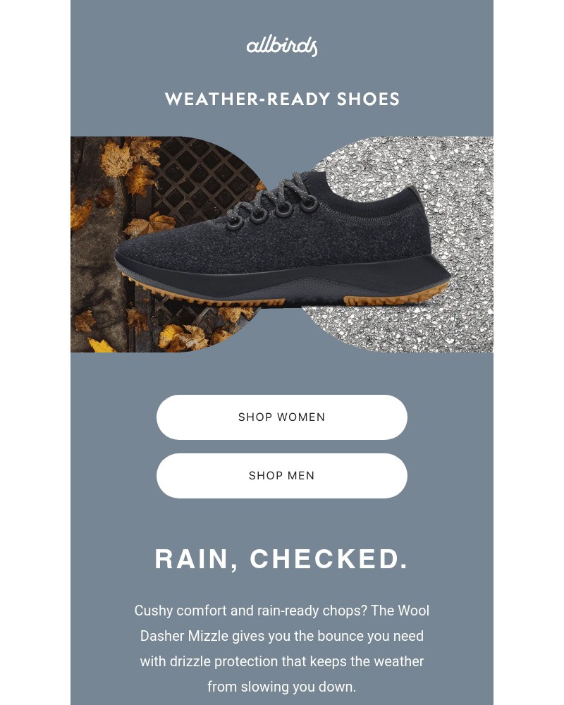 Screenshot of email sent to a Allbirds Newsletter subscriber