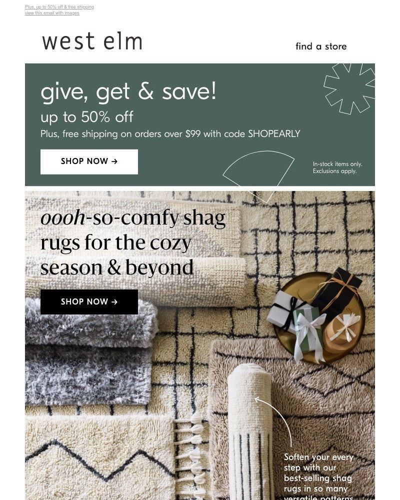Screenshot of email with subject /media/emails/alllll-the-yes-super-soft-shag-rugs-b53ea5-cropped-50b38d2e.jpg