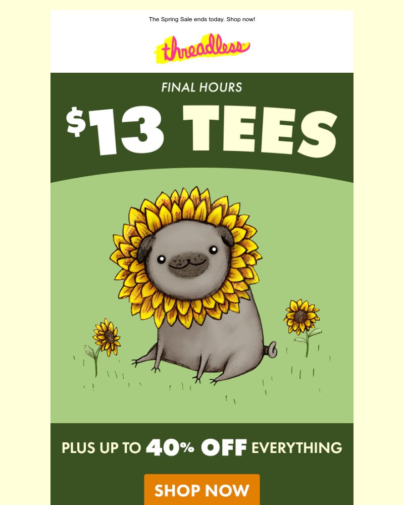 Screenshot of email with subject /media/emails/almost-gone-13-tees-eed527-cropped-8b5397bc.jpg