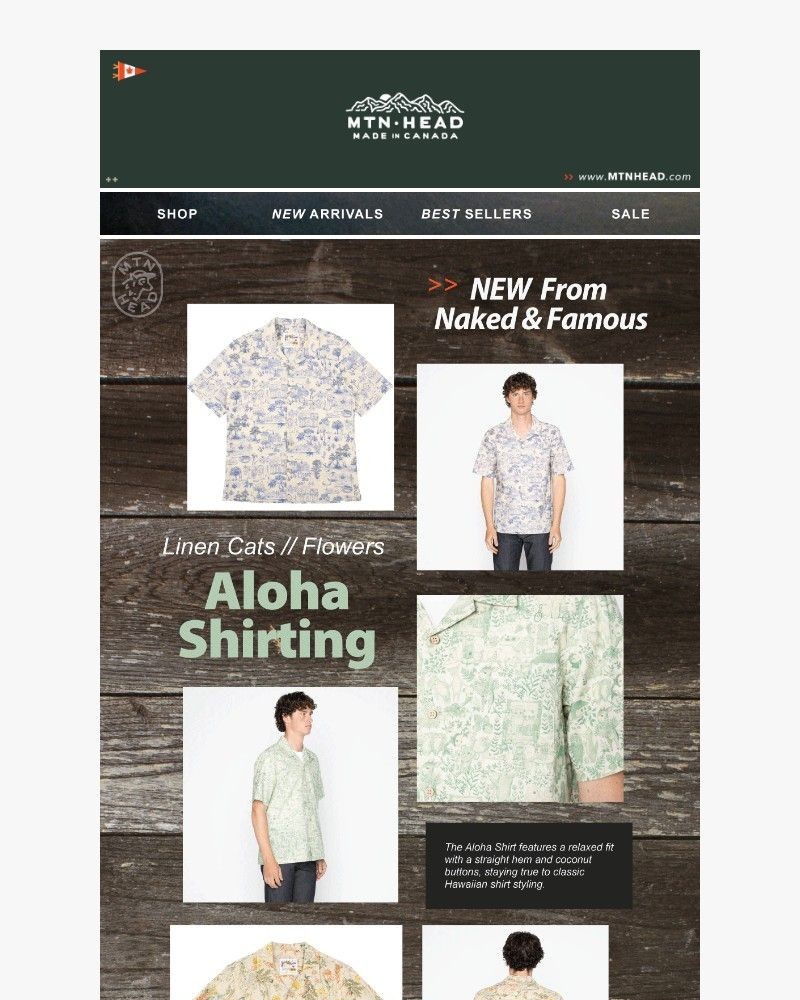 Screenshot of email sent to a Muttonhead Newsletter subscriber