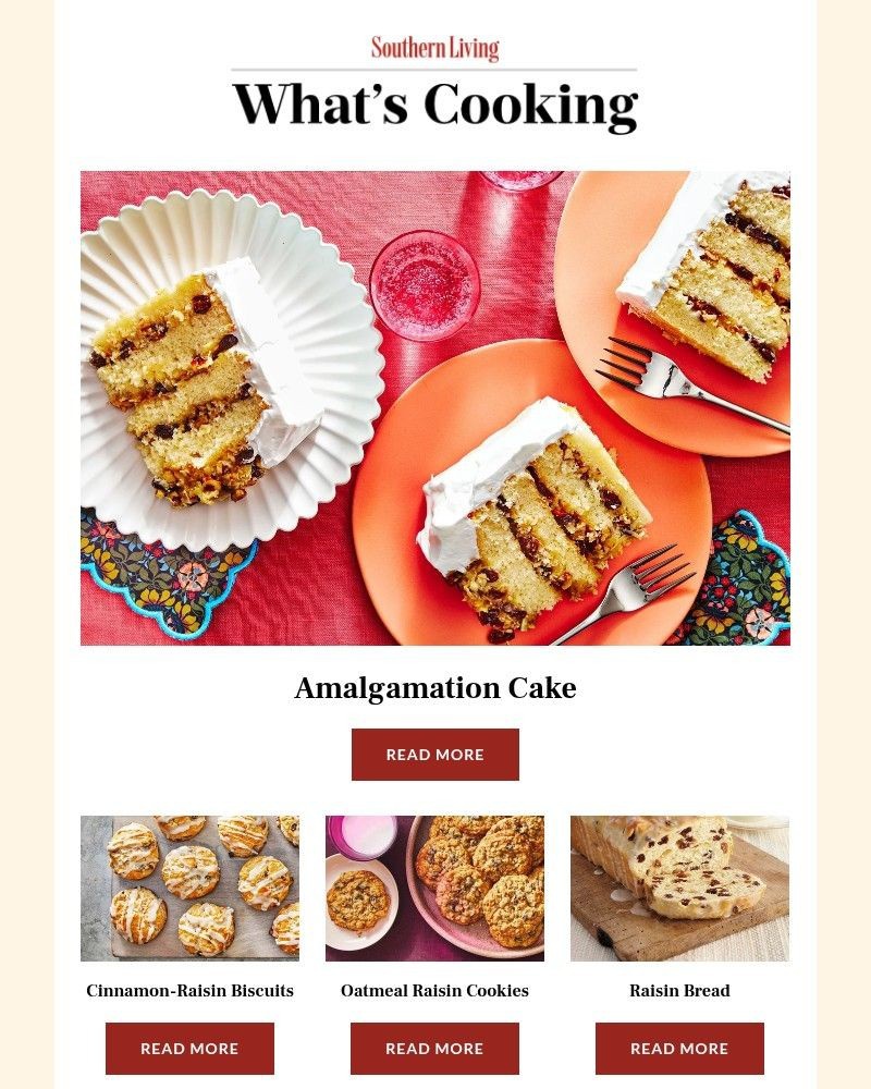 Screenshot of email sent to a Southern Living Newsletter subscriber