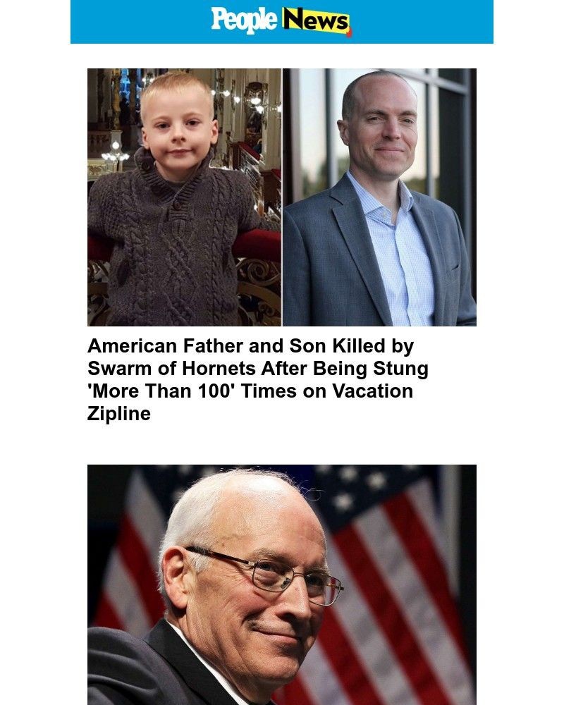 Screenshot of email with subject /media/emails/american-father-and-son-killed-by-swarm-of-hornets-after-being-stung-more-than-10_RvCQSSf.jpg